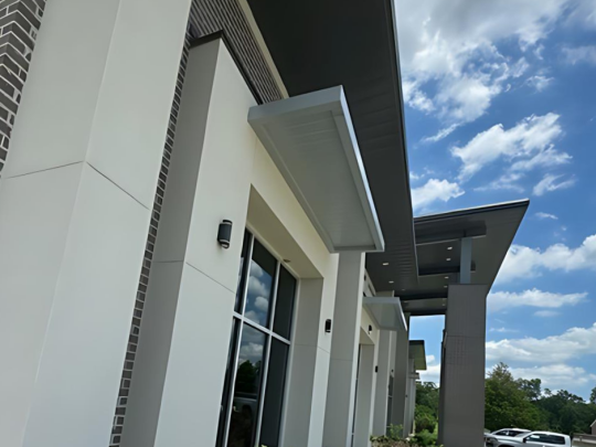 Untitled design (33)